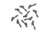 HON-HON66 #3