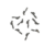 HON-HON66 #5